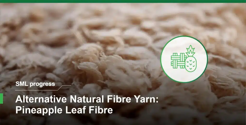 Pineapple leaf fibre yarn (PALF) for sustainable woven labels made from natural plant-based fibre