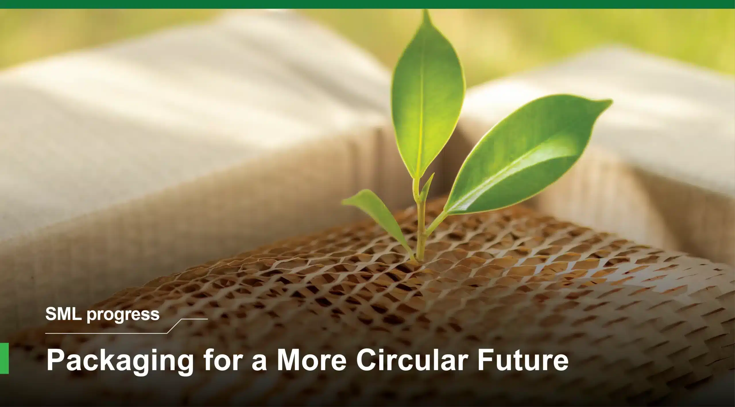 EcoInspire™ Sustainable Packaging Solutions Eco-friendly packaging with young plant symbolizing SML EcoInspire Sustainable Packaging Solutions supporting circular economy and responsible packaging design.